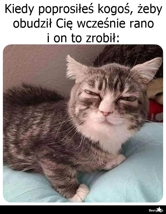 
    Pobudka 