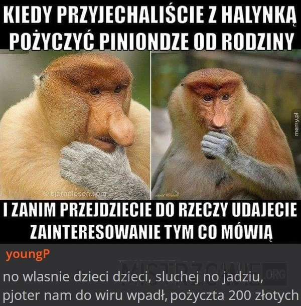 
    Piniondze