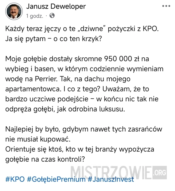 
    Gołębie z KPO