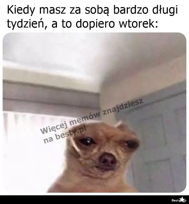 
    No niemożliwe 