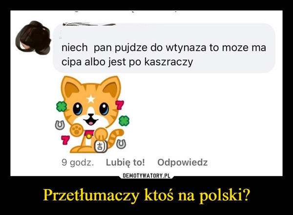 
    Przetłumaczy ktoś na polski?