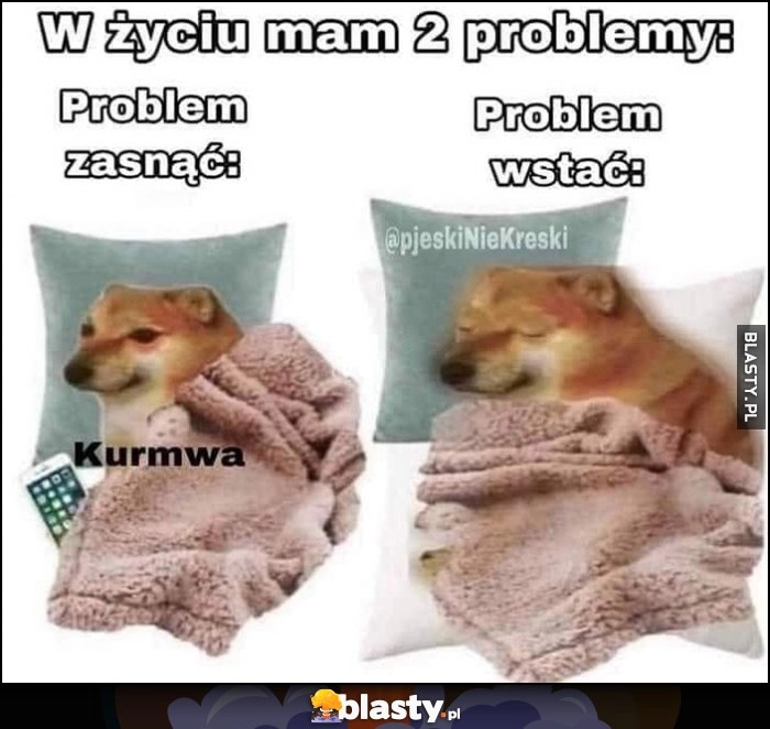 
    W zyciu mam 2 problemy: problem zasnąć, problem wstać pies pieseł doge