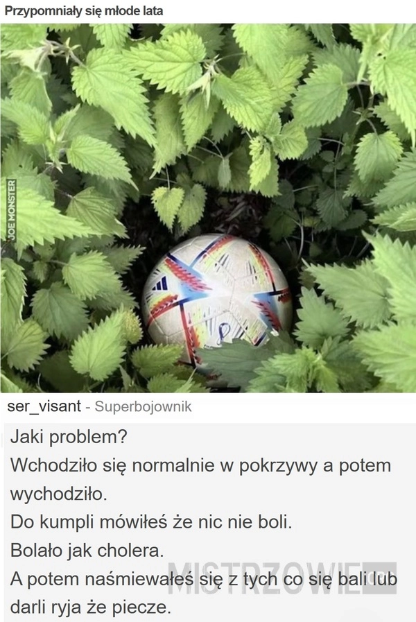 
    Przypomniały się młode lata