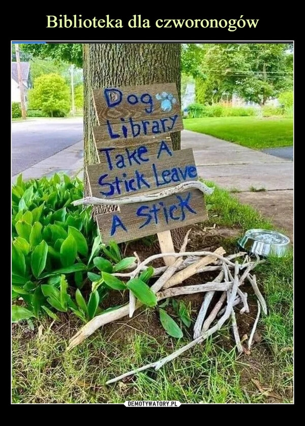 
    Biblioteka dla czworonogów