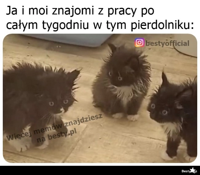 
    Jak dobrze, że już piątek 