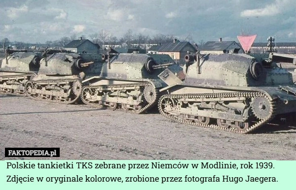 
    Polskie tankietki TKS zebrane przez Niemców w Modlinie, rok 1939. Zdjęcie