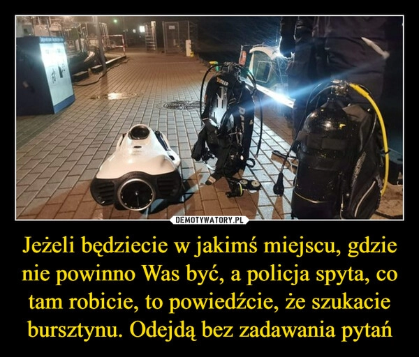 
    Jeżeli będziecie w jakimś miejscu, gdzie nie powinno Was być, a policja spyta, co tam robicie, to powiedźcie, że szukacie bursztynu. Odejdą bez zadawania pytań 