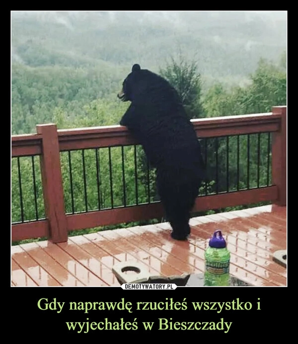 
    Gdy naprawdę rzuciłeś wszystko i wyjechałeś w Bieszczady