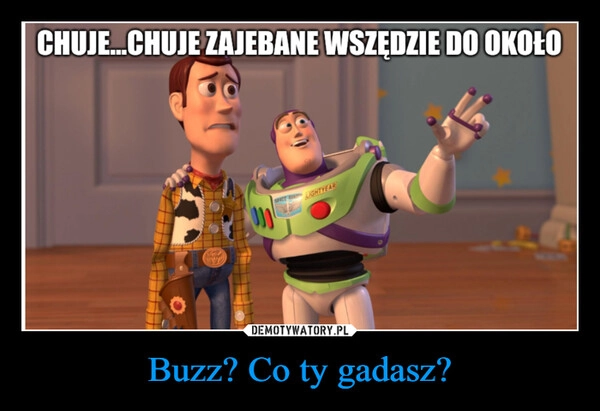 
    Buzz? Co ty gadasz?