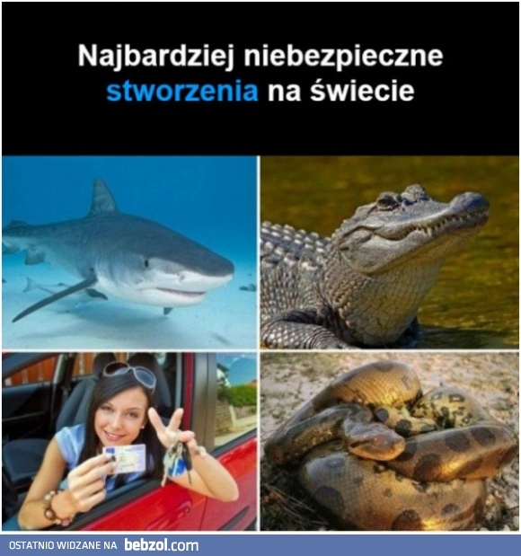
    Niebezpieczne stworzenia