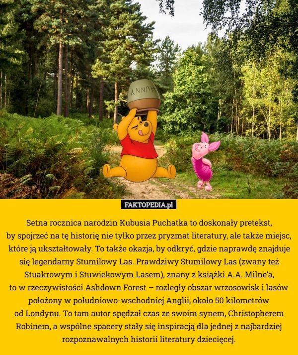 
    Setna rocznica narodzin Kubusia Puchatka to doskonały pretekst,
 by spojrzeć