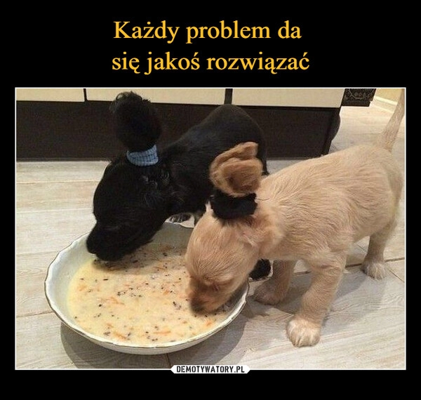 
    Każdy problem da
się jakoś rozwiązać 