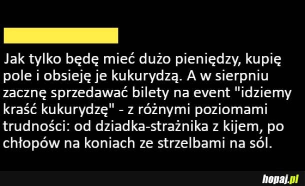 
    Pomysł na biznes