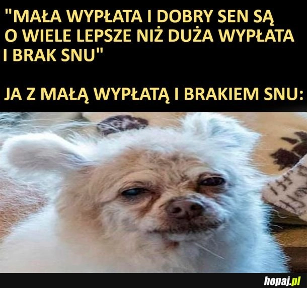 
    Pieniądze i sen