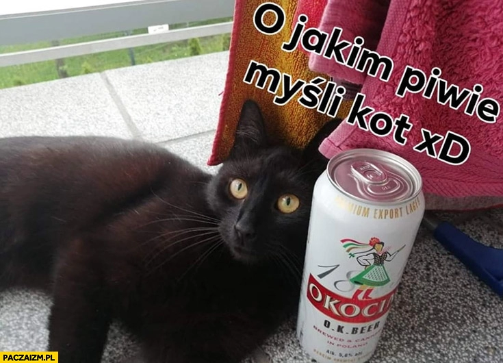 
    O jakim piwie myśli kot? Okocim puszka piwa