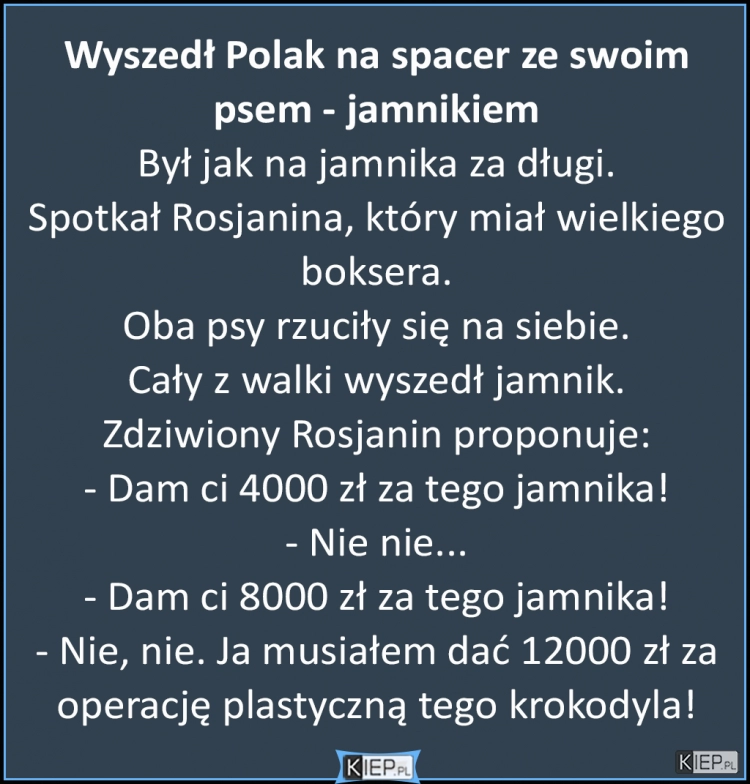 
    Wyszedł facet na spacer ze swoim psem - jamnikiem