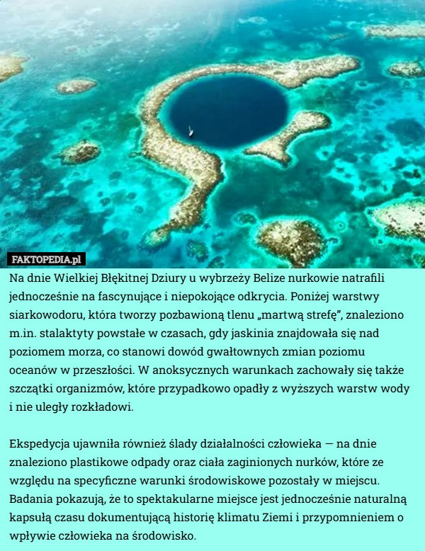 
    Na dnie Wielkiej Błękitnej Dziury u wybrzeży Belize nurkowie natrafili jednocześnie