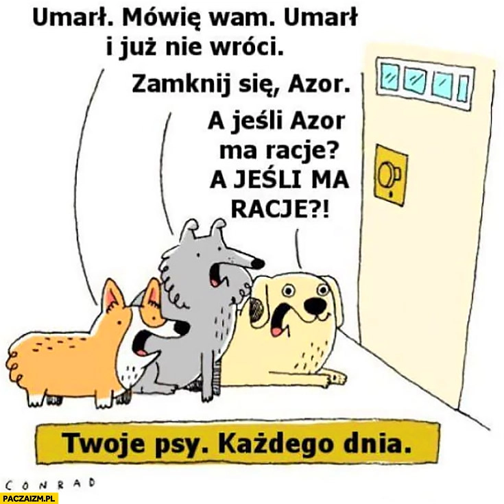 
    Psy właściciel poszedł mówię wam umarł i już nie wróci, zamknij się Azor, a jeśli Azor ma racje? Twoje psy każdego dnia