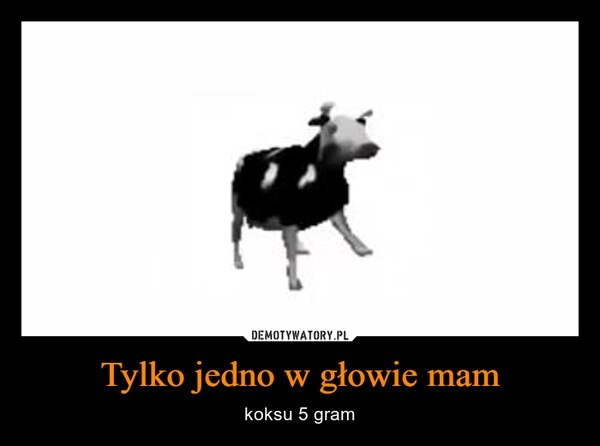 
    
Tylko jedno w głowie mam 