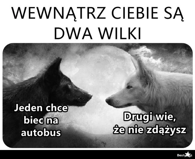 
    Dwa wilki 