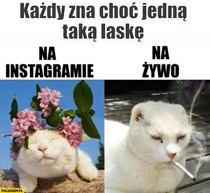 
    Każdy zna choć jedną taką laskę na instagramie kwiatki na żywo pali szluga fajki papierosy