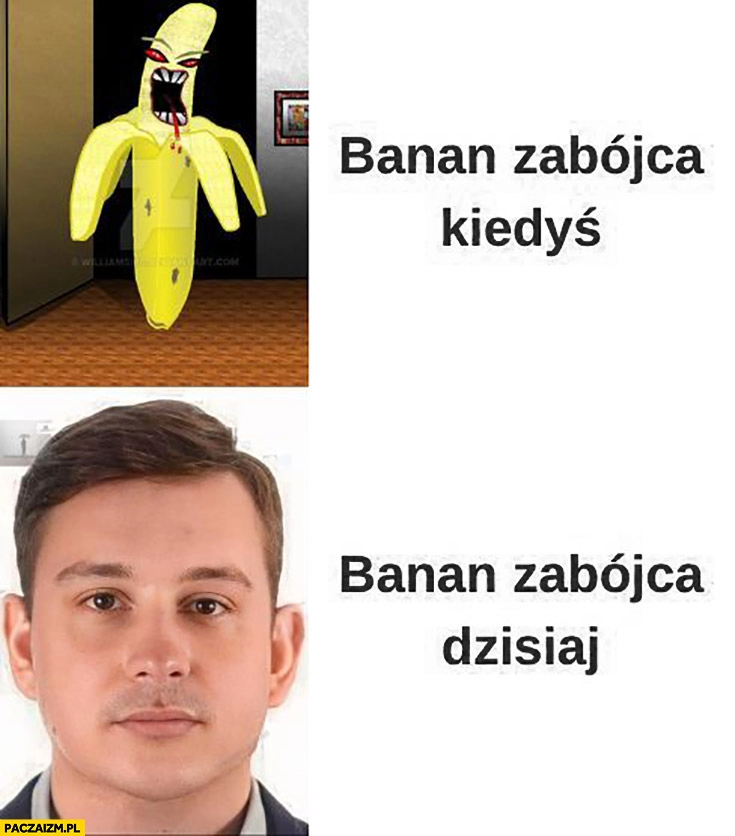 
    Sebastian Majtczak banan zabójca kiedyś vs dzisiaj