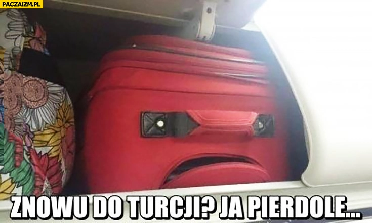 
    Znowu do Turcji, ja pieprze. Niezadowolona walizka