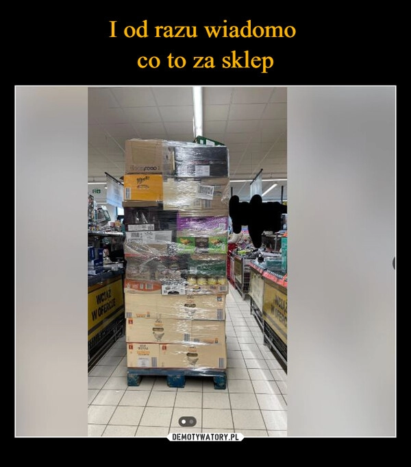 
    I od razu wiadomo 
co to za sklep