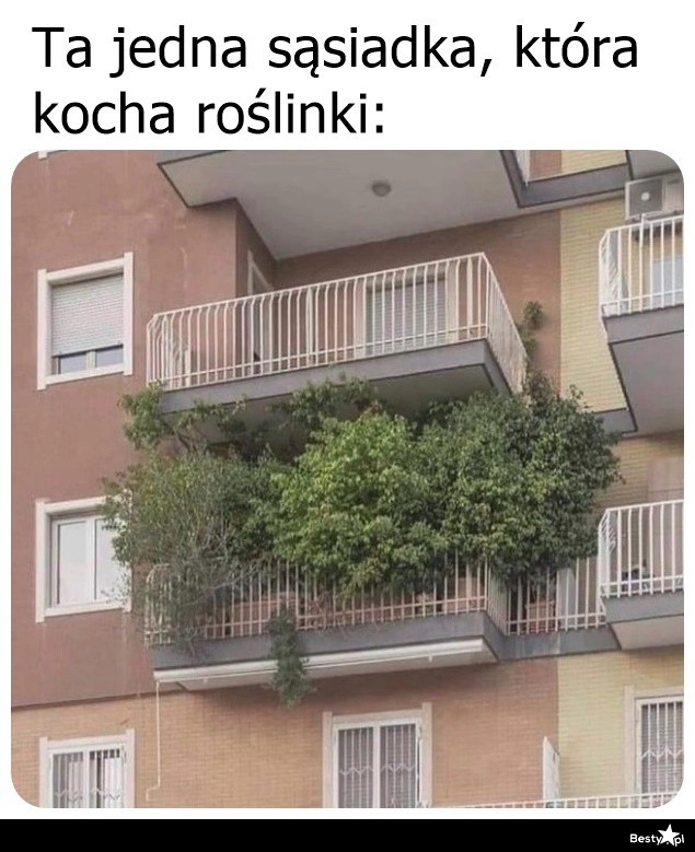 
    Ta jedna sąsiadka 