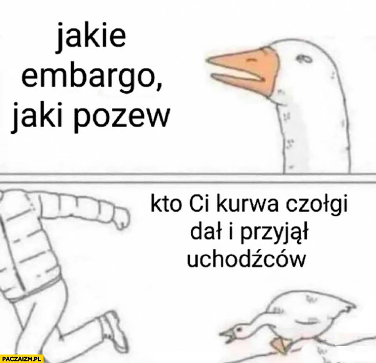 
    Gęś Ukraina jakie embargo jaki pozew kto ci czołgi dał i przyjął uchodźców?