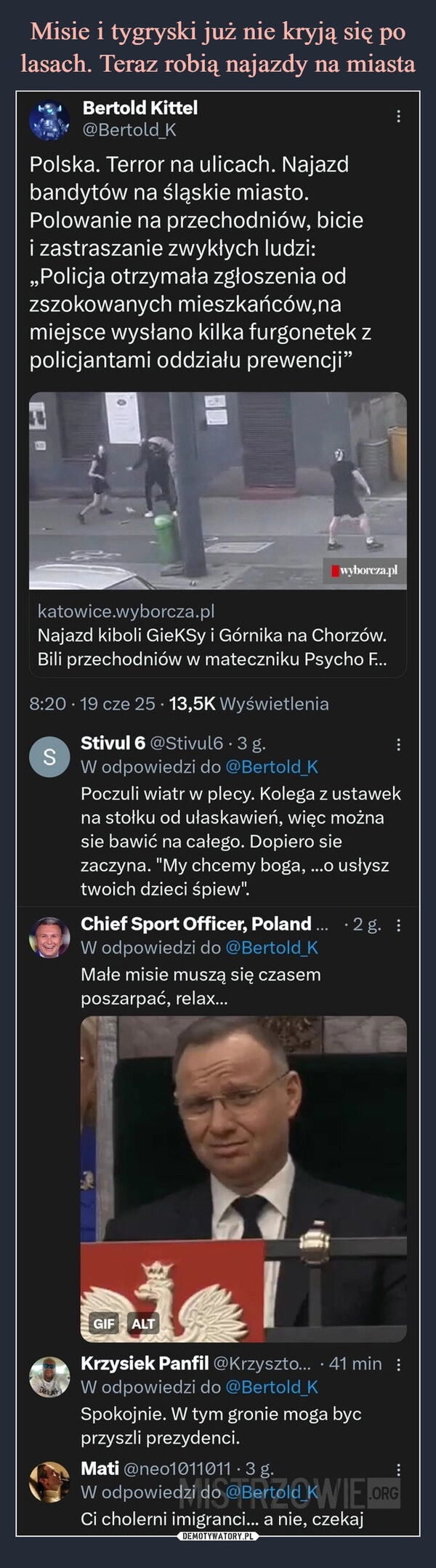 
    Misie i tygryski już nie kryją się po lasach. Teraz robią najazdy na miasta
