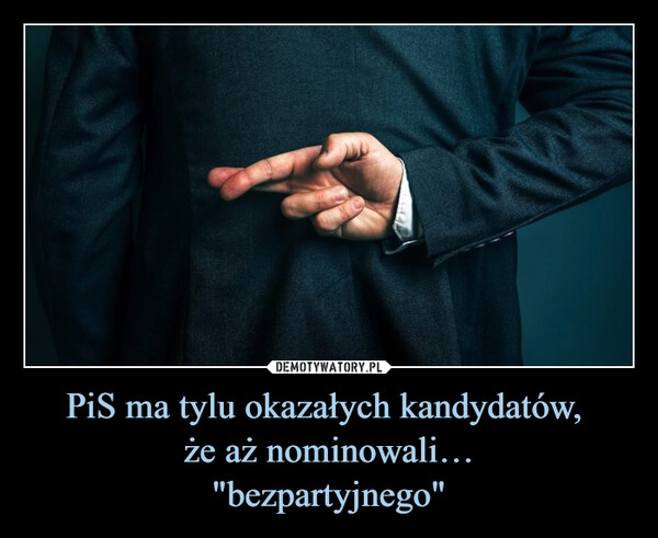 
    PiS ma tylu okazałych kandydatów, 
że aż nominowali…
"bezpartyjnego"