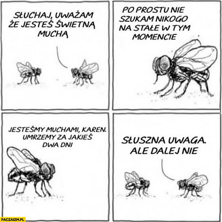 
    Uważam, że jesteś świetną muchą, po prostu nie szukam nikogo na stałe w tym momencie, jesteśmy muchami umrzemy za jakieś dwa dni, słuszna uwaga ale dalej nie