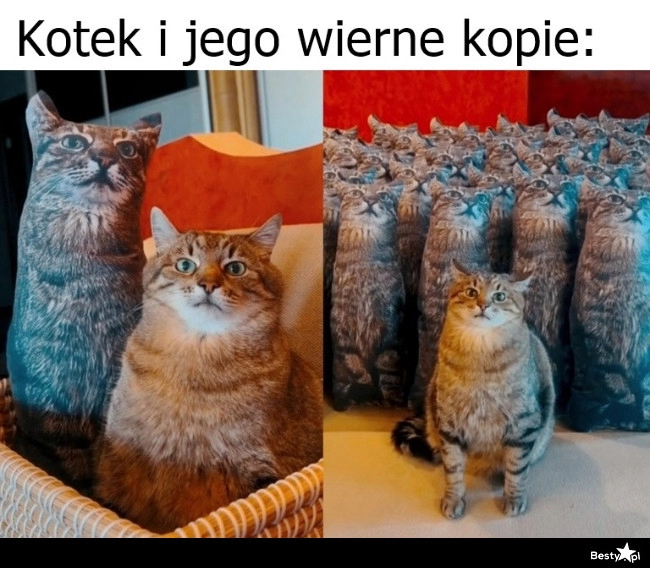 
    Wierne kopie 