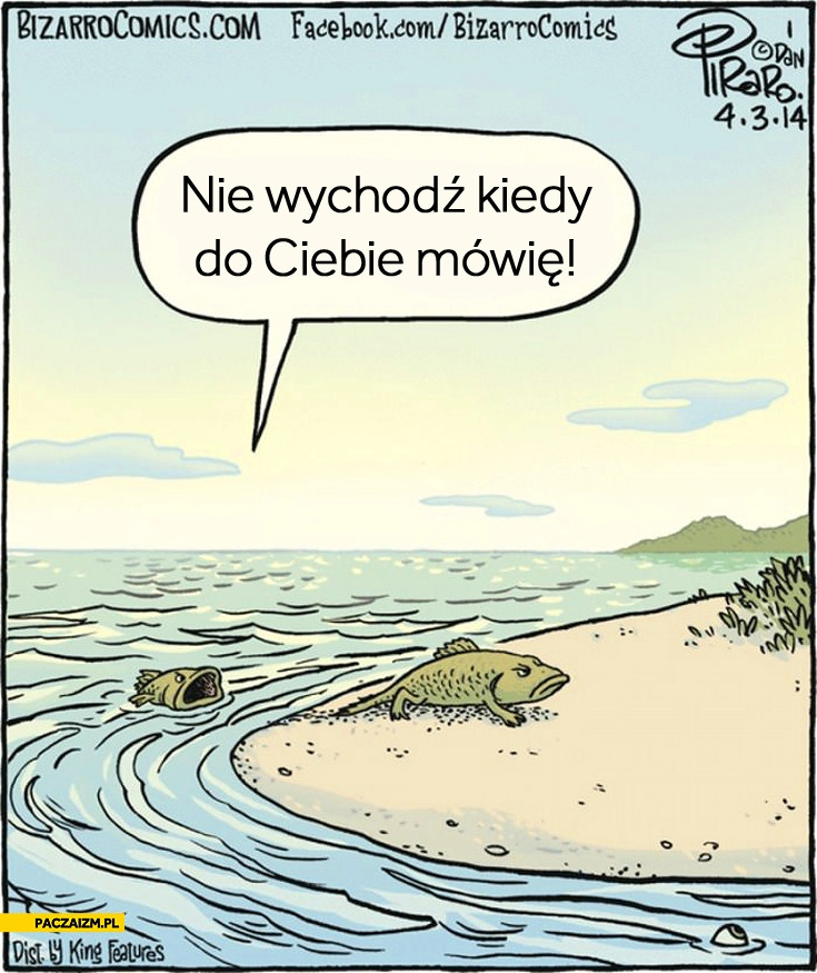 
    Nie wychodź kiedy do Ciebie mówię ewolucja