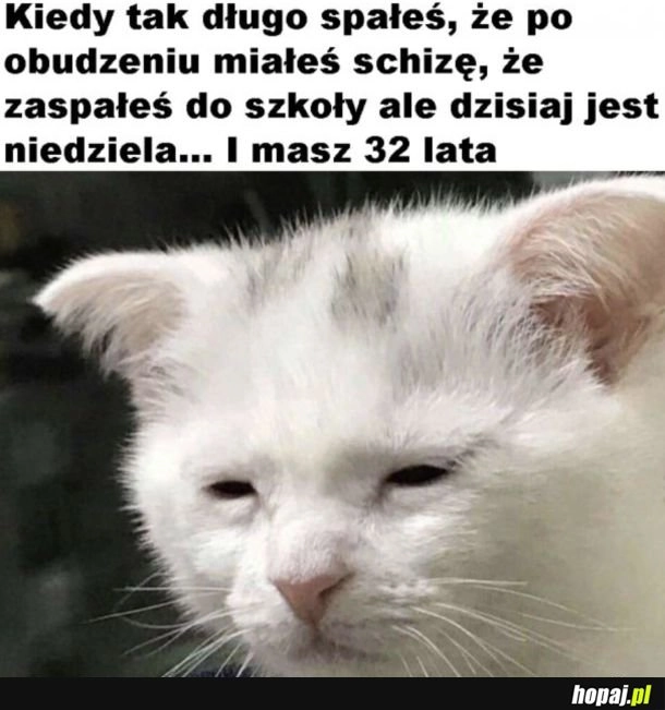 
    Jak dobrze, że tylko się wydawało