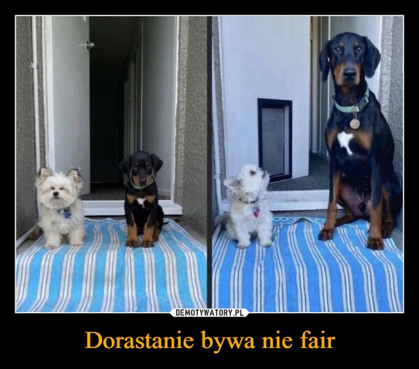 
    Dorastanie bywa nie fair