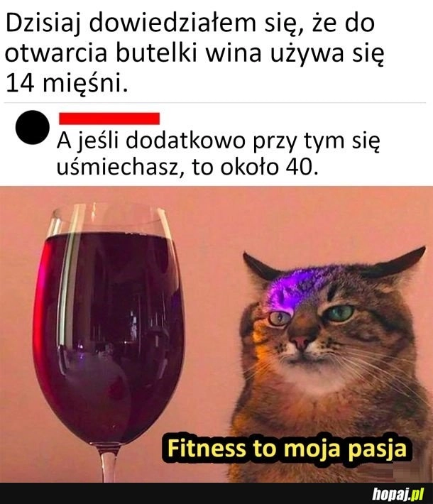 
    Fitness to moja pasja