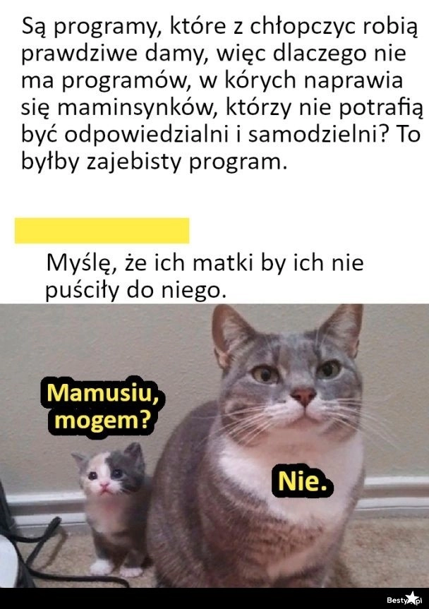 
    Pomysł na program 