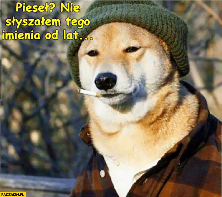 
    Pieseł? Nie słyszałem tego imienia od lat