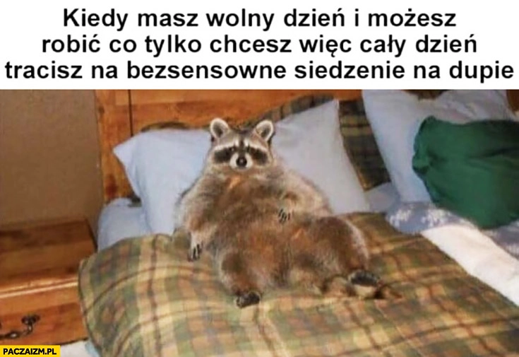 
    Kiedy masz wolny dzień i możesz robić co tylko chcesz więc cały dzień tracisz na bezsensowne siedzenie na dupie szop pracz