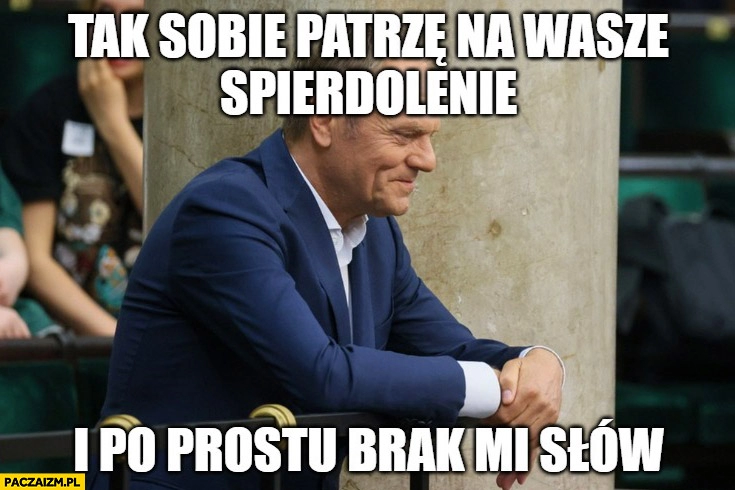 
    Donald Tusk tak sobie patrzę na wasze spierdolenie i po prostu brak mi słów