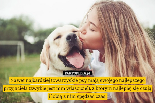 
    
			Nawet najbardziej towarzyskie psy mają swojego najlepszego przyjaciela (zwykle					