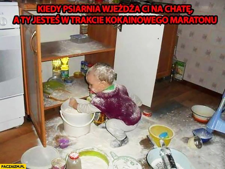 
    Kiedy psiarnia wjeżdża Ci na chatę a Ty jesteś w trakcie kokainowego maratonu dziecko maka