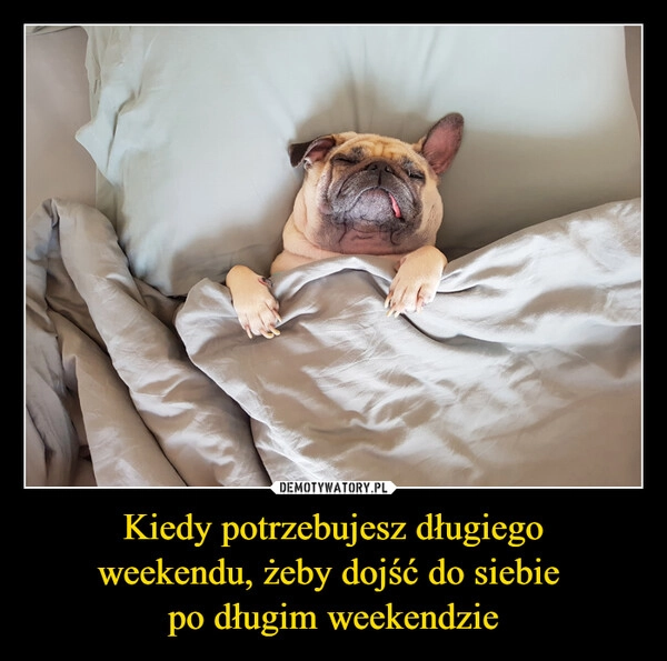 
    Kiedy potrzebujesz długiego
weekendu, żeby dojść do siebie 
po długim weekendzie