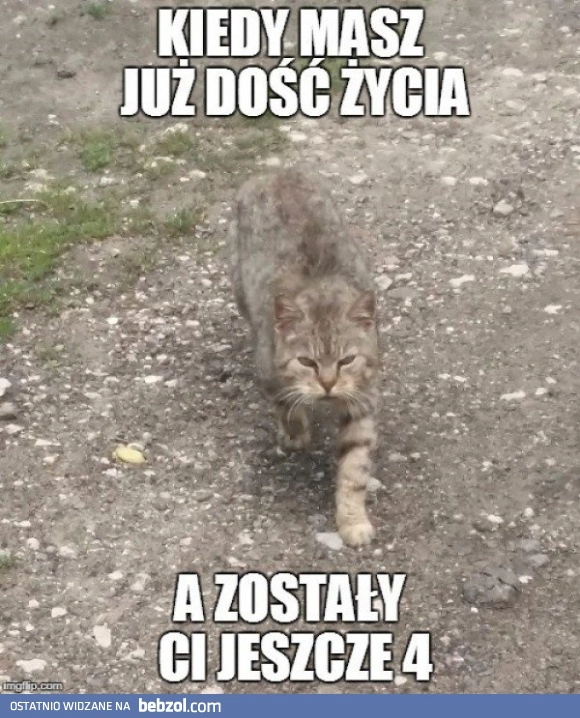 
    Trzeba żyć