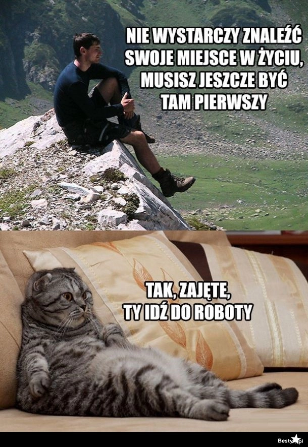 
    Miejsce w życiu 