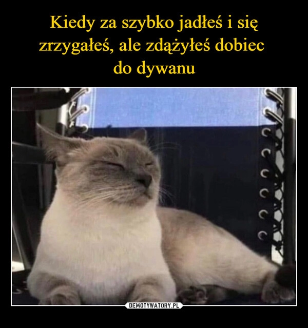 
    Kiedy za szybko jadłeś i się zrzygałeś, ale zdążyłeś dobiec 
do dywanu