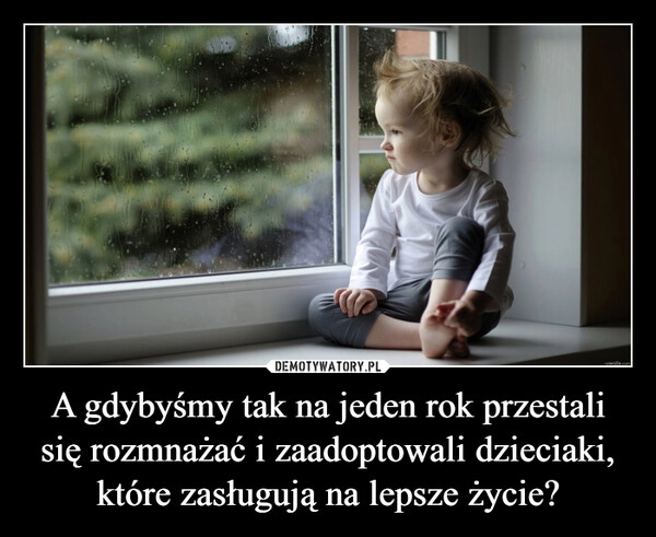 
    A gdybyśmy tak na jeden rok przestali się rozmnażać i zaadoptowali dzieciaki, które zasługują na lepsze życie?