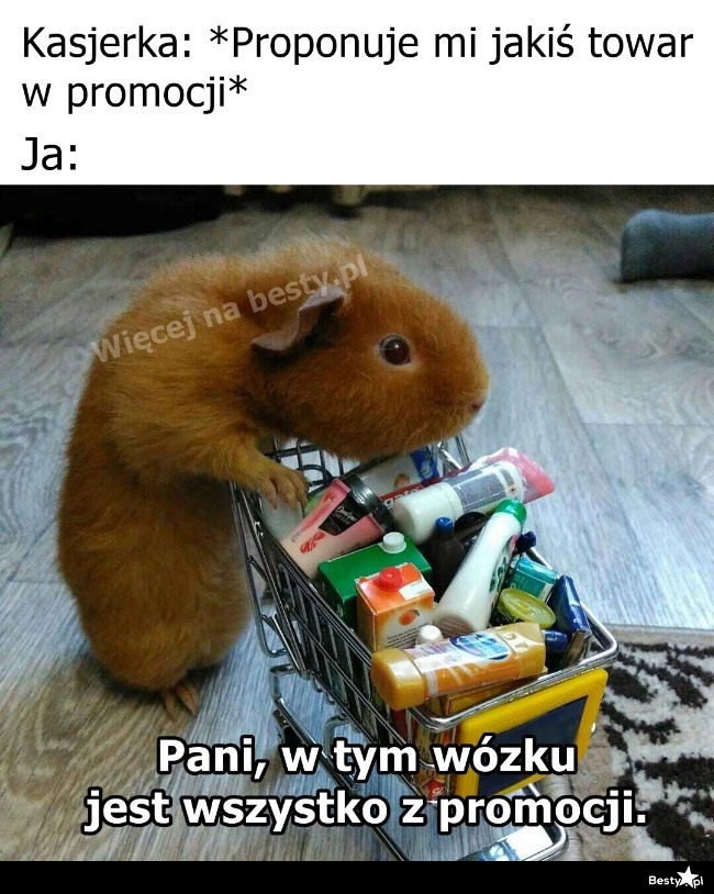 
    Wszystko już mam 